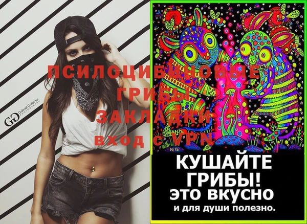 PSILOCYBIN Белоозёрский