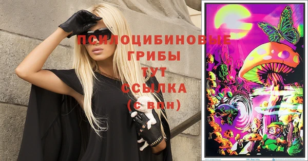 кокаин Белокуриха
