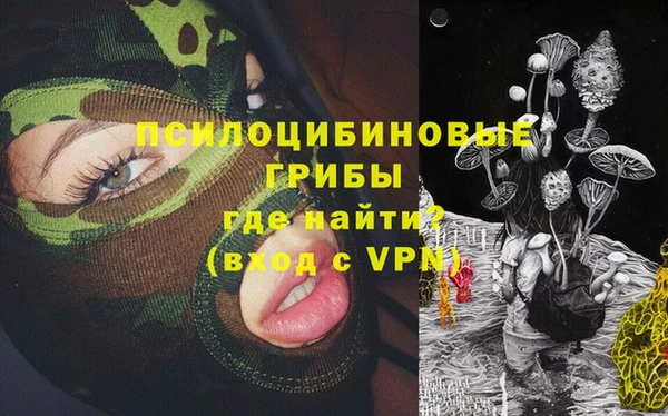 PSILOCYBIN Белоозёрский
