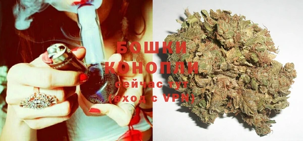 PSILOCYBIN Белоозёрский