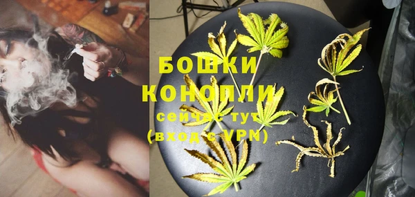 PSILOCYBIN Белоозёрский