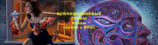 PSILOCYBIN Белоозёрский